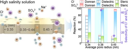 Dominant Mechanism of Nanofiltration for Chloride/Sulfate Ion Separation in High Salinity Solutions: The Quantification of Pore Size-Influenced Dielectric Exclusion