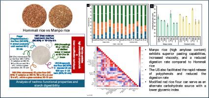 Sustainable techniques to enhance novel techno-functional properties and modulate starch digestibility of polyphenol-rich red rice flours with varying amylose content