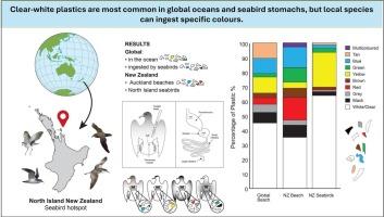 Clear-white plastics are most common in global oceans and seabird stomachs, but local species can ingest specific colours