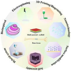 Strategies for fabricating multi-material bone tissue constructs