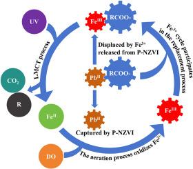 Enhanced removal of lead complexes using phosphide-modified nanoscale zero-valent iron: The boosting impact of the iron cycle