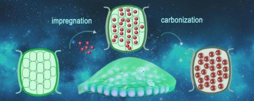 Space confinement effect of carbon coated metal nanoparticle on oxygen evolution reaction