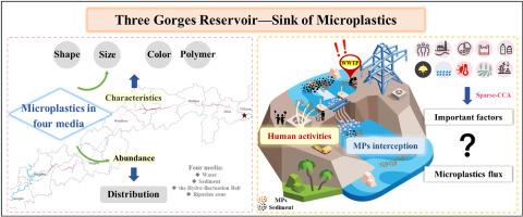 The Three Gorges Dam alters the spatial distribution and flux of microplastics in the Yangtze River