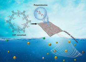 Adhesive tape-inspired COF/Polymer crosslinked networks for efficient uranium extraction from seawater