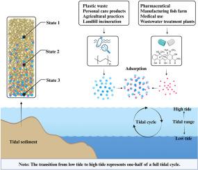 Transport of microplastic-antibiotic co-contaminants in tidal zones