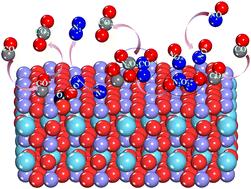 Combined insights from DFT and microkinetics into NO reduction by CO over an LaFeO3 perovskite