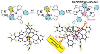 Metal ions control configuration and 1O2 generation capacity of hexaphyrin(2.1.2.1.2.1) with embedded benzene†