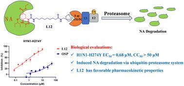 Harnessing hydrophobic tag technology to combat drug-resistant influenza: design, synthesis and potency of oseltamivir-derived HyTTDs†