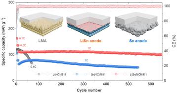 An ultra-stable prelithiated Sn anode for sulfide-based all-solid-state Li batteries†