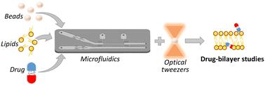 Microfluidic system for efficient molecular delivery to artificial cell membranes†