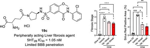 Synthesis and Biological Evaluation of Peripheral 5HT2B Antagonists for Liver Fibrosis