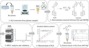 A high-performance liquid chromatography with fluorescence detection for measurement of hydrogen sulfide in rat plasma