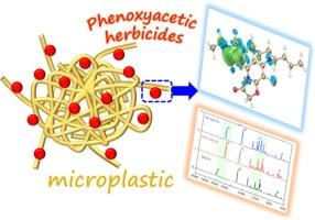 Exploring the molecular mechanisms of herbicide adsorption on microplastics: A quantum chemical approach