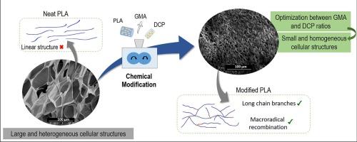 Control of PLA chemical structures by using GMA and DCP during reactive processing and its influence on PLA foamability