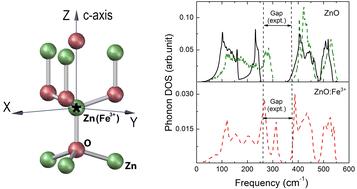 Optically active vibrations of extrinsic iron defects in zinc oxide