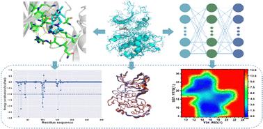 Insights into phosphorylation-induced influences on conformations and inhibitor binding of CDK6 through GaMD trajectory-based deep learning†