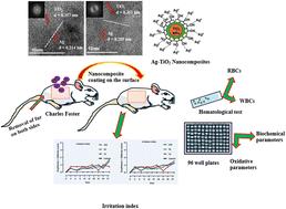 Exploring the dermal safety of green-synthesized Ag–TiO2 nanocomposites for topical applications†
