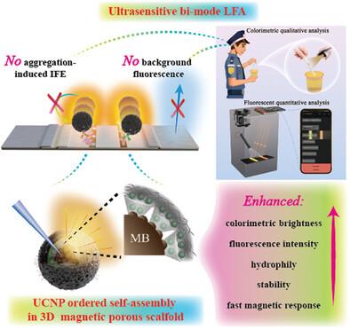 Ultrasensitive Bi-Mode Lateral-Flow Assay via UCNPs-Based Host-Guest Assembly of Fluorescent-Colorimetric Nanoparticles