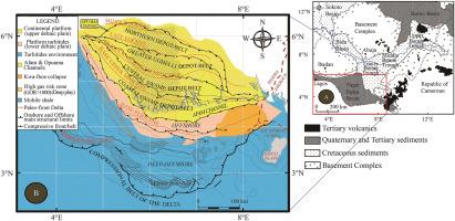 Petroleum system, filling history and age appraisal of source rocks of the Niger Delta Basin: Fingerprinting of pentacyclic triterpenoids