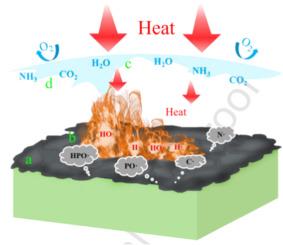 Eco-conscious flame retardants for enhanced fire resistance in natural fiber reinforced polymers composite: A review bio-based, and industry implications