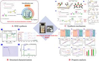 Synthesis of novel resveratrol nervonic acid ester using a solvent-free mechanochemical method: Improved lipophilicity, thermostability, and oxidation stability