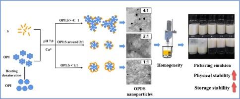 Ca2+ induced irregular spherical oat protein-shellac nanoparticles as Pickering emulsions stabilizer to improve emulsion storage stability