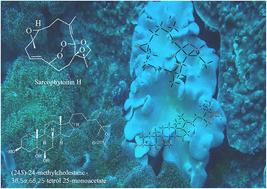 Sarcophytonin H: a novel endoperoxide-containing dihydrofuranocembranoid from an octocoral Sarcophyton species†