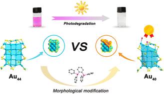 Diphosphine-induced morphological modification in Au nanoclusters and its implications for catalytic activity regulation†