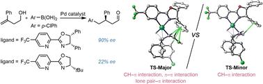 Mechanistic insights into the stereocontrolling non-covalent π interactions in Pd-catalyzed redox-relay Heck arylation reaction†