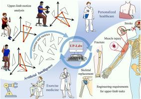 Personalised healthcare and exercise rehabilitation based on upper-limb metrics
