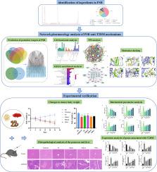 Study on the active ingredients and molecular mechanisms of Polygonatum sibiricum beverage in the intervention of type 2 diabetes mellitus based on UPLC-MS, network pharmacology and experimental validation
