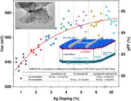 Screen printed Ag-doped nickel metallization for industrial n-TOPCon silicon solar cells