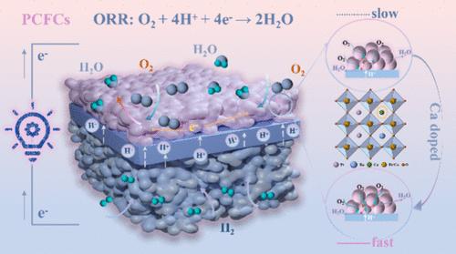Structurally Stable Perovskite Cathode with Extended Lifetime for Protonic Ceramic Fuel Cells