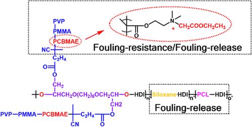 Cationic Copolymer with Amphiphilic Side Chain and Hydrophobic Siloxane/Polycaprolactone Main Chain for Marine Antifouling Coating