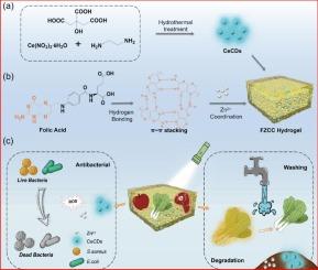 Antibacterial properties of folic acid-based hydrogel loaded with CeCDs and its potential application in food preservation
