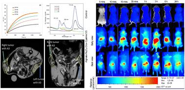 Different conjugates of Fe3O4 nanoparticles, drug, and dye: optical and magnetic properties for in vivo bimodal imaging