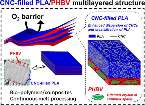 High Barrier and Flexible Biodegradable PLA/CNC Based Multilayer Films via Large-Scale Forced Assembly Layer Multiplication Coextrusion: Role of Crystalline Polymer Layers Under Confinement