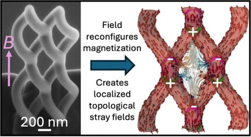 Design and Control of Three-Dimensional Topological Magnetic Fields Using Interwoven Helical Nanostructures
