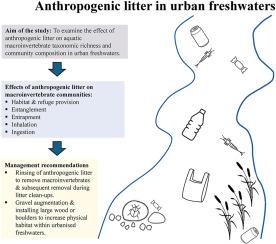 What a load of rubbish: The impact of anthropogenic litter on urban freshwater diversity