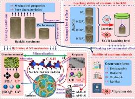 Effects of temperature and damage degree on the uranium leaching levels of uranium tailings filling materials and their S/S mechanism