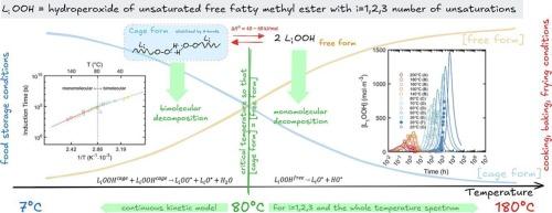 Temperature-dependent kinetics of unsaturated fatty acid methyl esters: Modeling autoxidation mechanisms