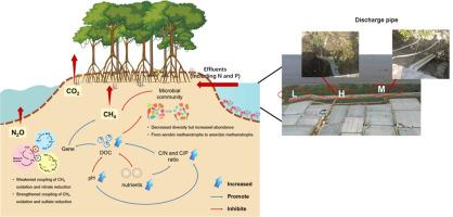 Nutrient enrichment by high aquaculture effluent input exacerbates imbalances between methane production and oxidation in mangrove sediments