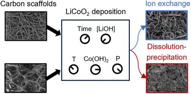 Competition between dissolution and ion exchange during low temperature synthesis of LiCoO2 on porous carbon scaffolds†