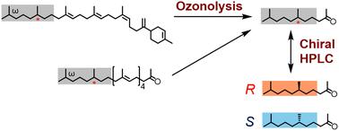 Isolation and structural determination of natural products bearing tetrahydrogenated isoprenoid side-chains at their ω-termini†