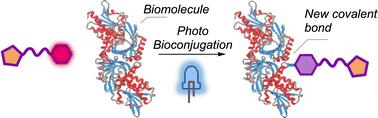 Light-induced chemistry for protein functionalisation