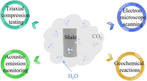 Geological Carbon Sequestration: Experimental Study of the Mechanical Response and Microscopic Mechanism of Shales Subjected to Gaseous CO2 and ScCO2