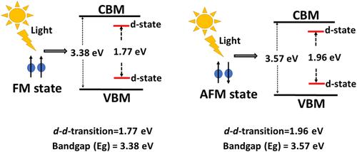 A First-Principles Study of n-Type Defects and Cobalt Doping on Magnetic and Optical Properties of ZnS Nanowires: Implications for Spintronic and Photovoltaic Applications