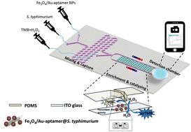 Enhanced catalytic efficiency of nanozymes with a V-structured chip for microfluidic biosensing of S. typhimurium†