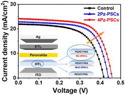 Interface modification of hole transport layers in tin-based halide perovskite solar cells†