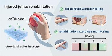 Towards injured joint rehabilitation: structural color hydrogels for accelerated wound healing and rehabilitation exercise monitoring†